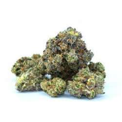 Blue Dream Organic THC Flower (min purchase 3G)