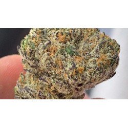 Ice Cream Cake Organic Thc Flower (min purchase 3G)